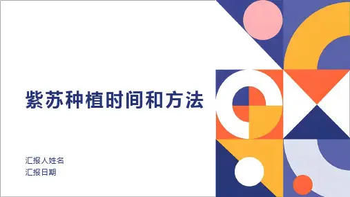 紫苏种植时间和方法
