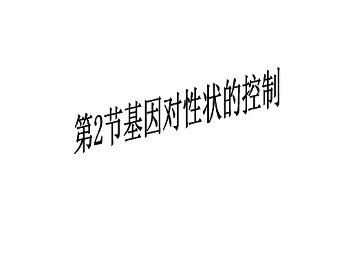 基因对生物性状的控制(27张PPT)