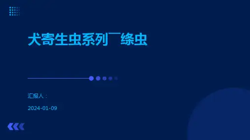 犬寄生虫系列――绦虫