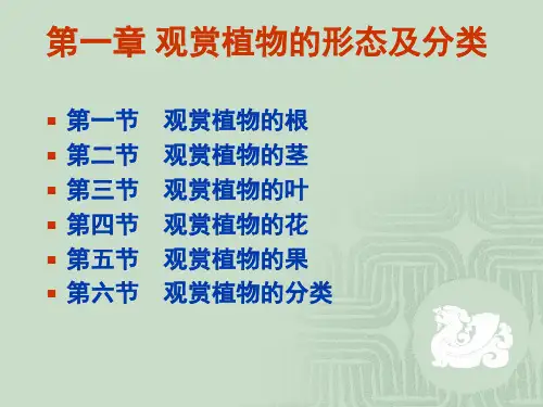 1-4观赏植物的形态及分类—花