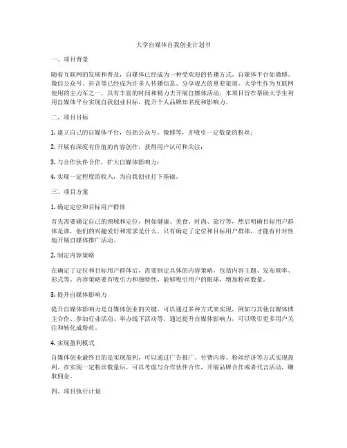 大学自媒体自我创业计划书