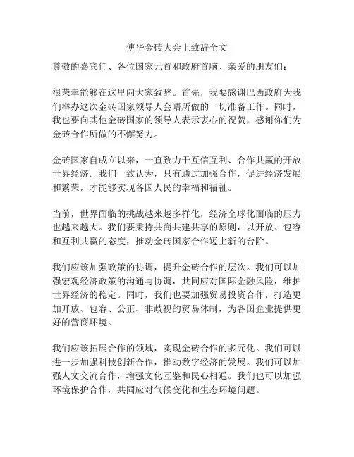 傅华金砖大会上致辞全文