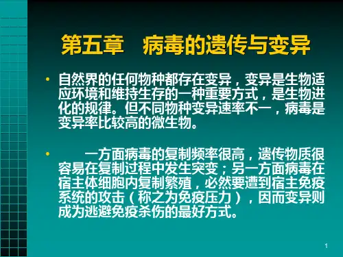 病毒的遗传与变异
