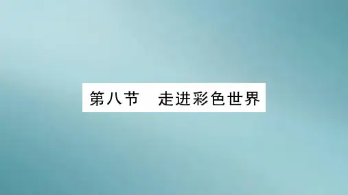第4章  第8节 走进彩色世界—2020年秋教科版物理八年级上册课时作业课件