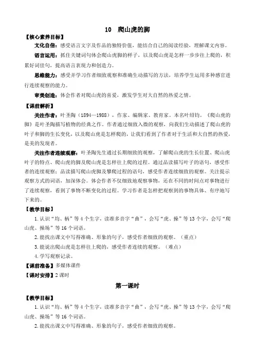 2024年部编版四年级语文上册教案及教学反思10 爬山虎的脚 精华版教案