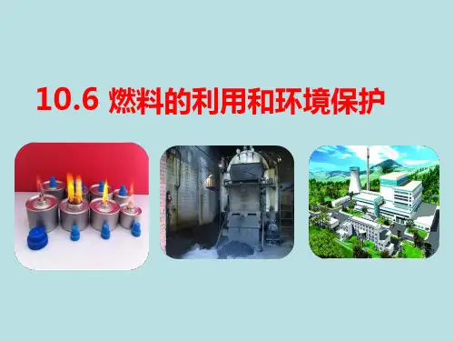 燃料的利用和环境保护  ppt课件