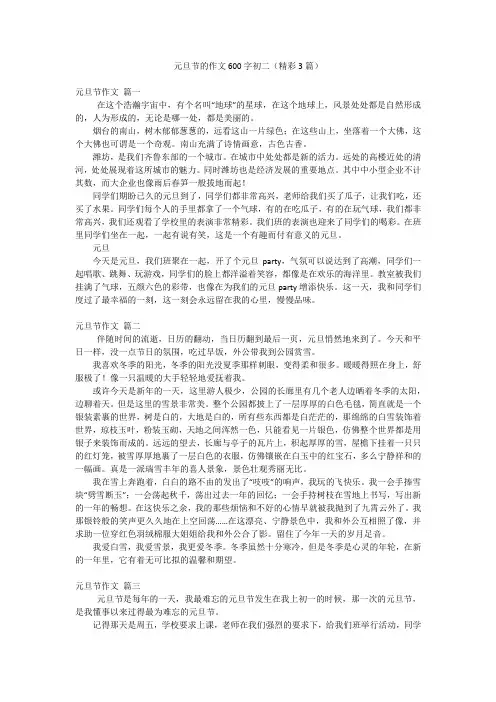 元旦节的作文600字初二(精彩3篇)