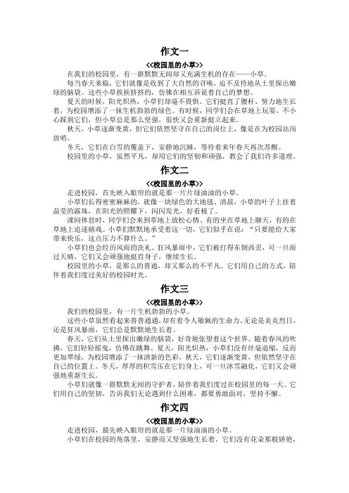 校园里的小草作文300字左右