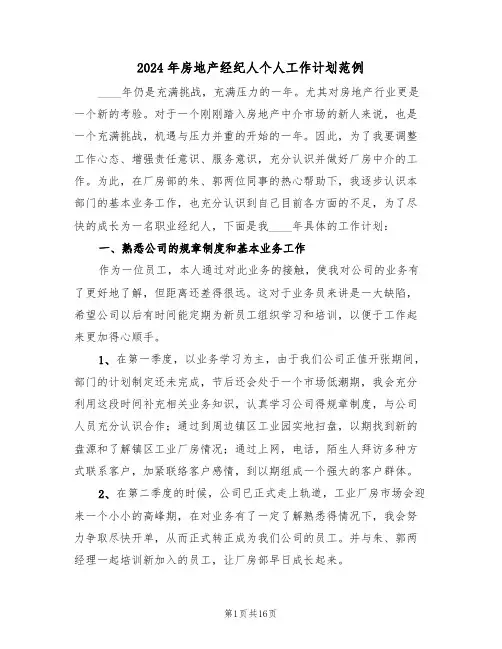 2024年房地产经纪人个人工作计划范例（七篇）