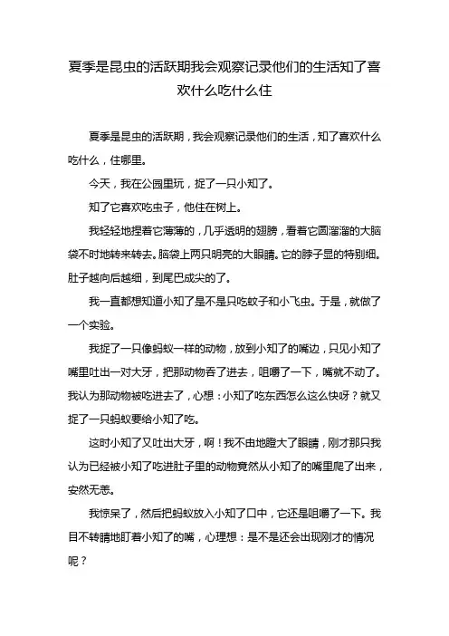 夏季是昆虫的活跃期我会观察记录他们的生活知了喜欢什么吃什么住