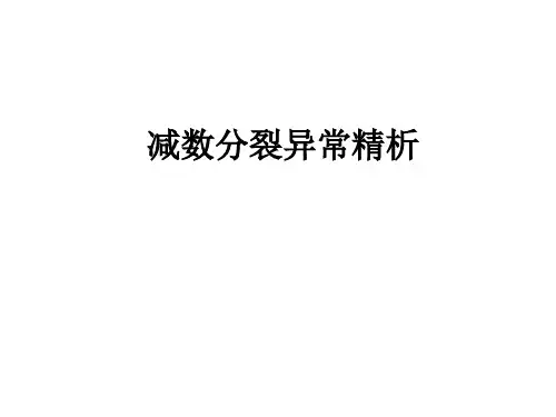 上课讲课用专题减数分裂异常问题分析