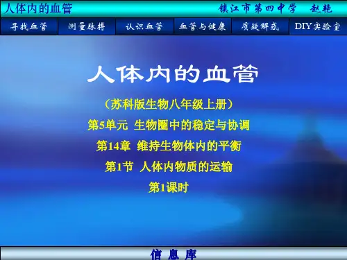人体内的血管