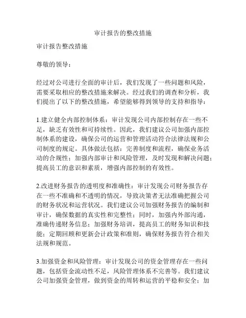 审计报告的整改措施