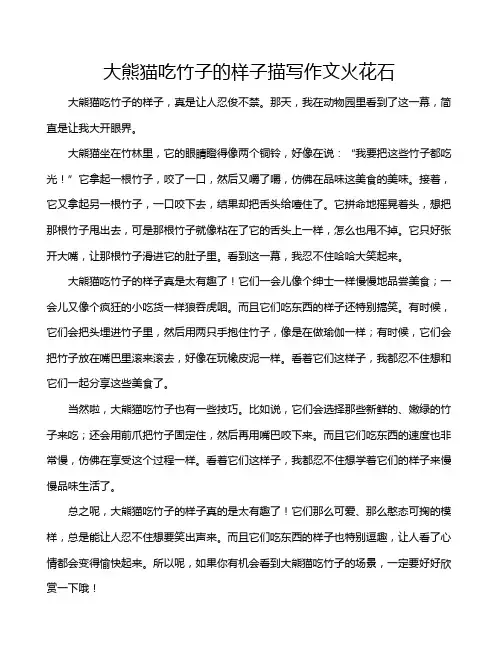 大熊猫吃竹子的样子描写作文火花石