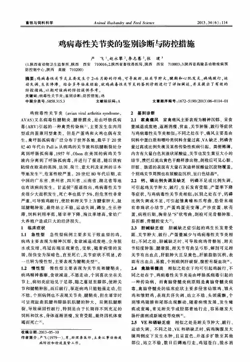 鸡病毒性关节炎的鉴别诊断与防控措施