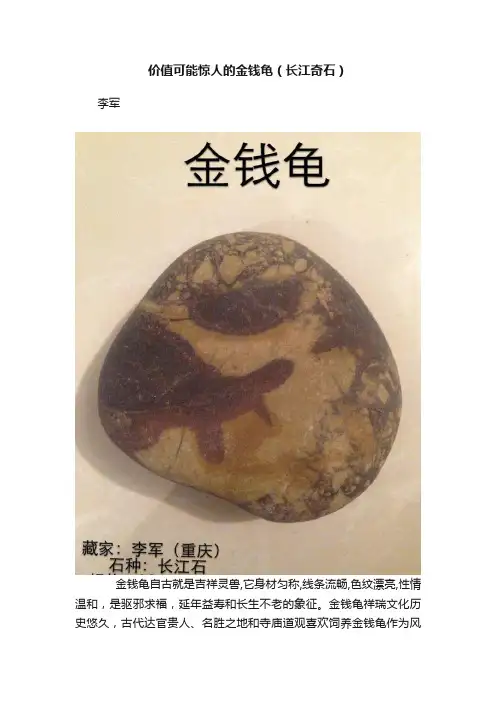 价值可能惊人的金钱龟（长江奇石）