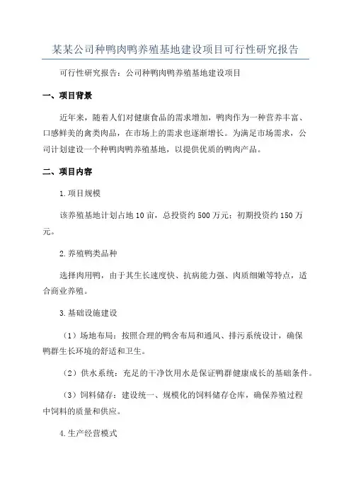 某某公司种鸭肉鸭养殖基地建设项目可行性研究报告