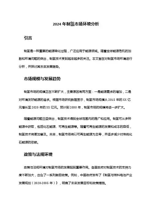 2024年制氢市场环境分析