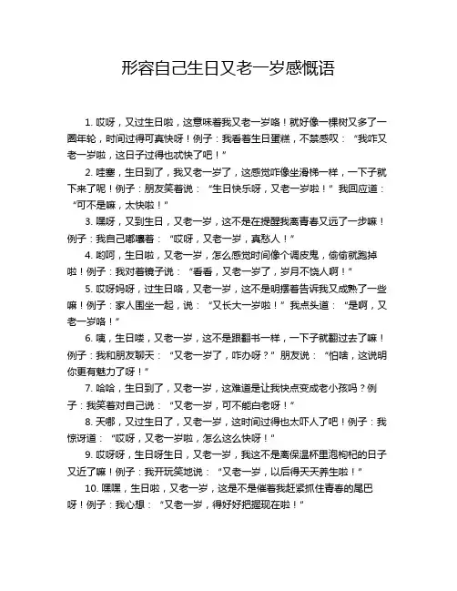 形容自己生日又老一岁感慨语