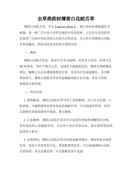 全草类药材薄荷白花蛇舌草