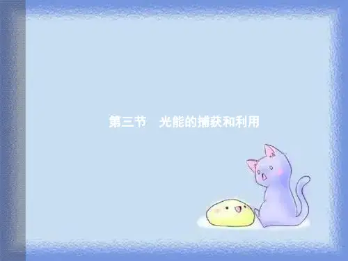 中图版生物必修1第三节《光能的捕获和利用》ppt