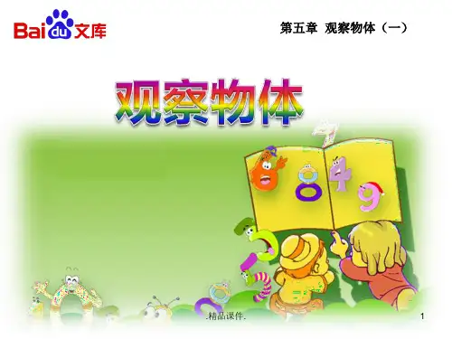 观察物体课件-人教版数学二年级上第五章观察物体(一)第1节全版.ppt