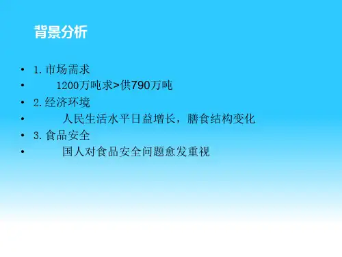 生态牛肉创业规划PPT幻灯片