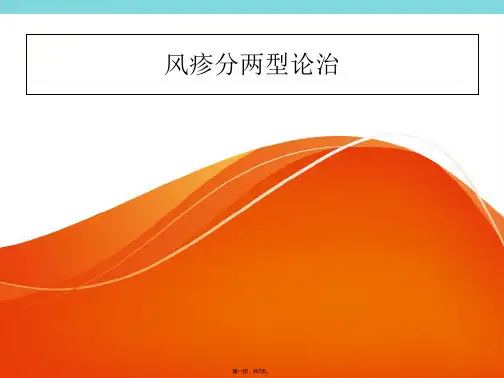 风疹分两型论治(共7张PPT)