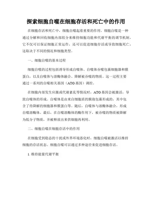 探索细胞自噬在细胞存活和死亡中的作用