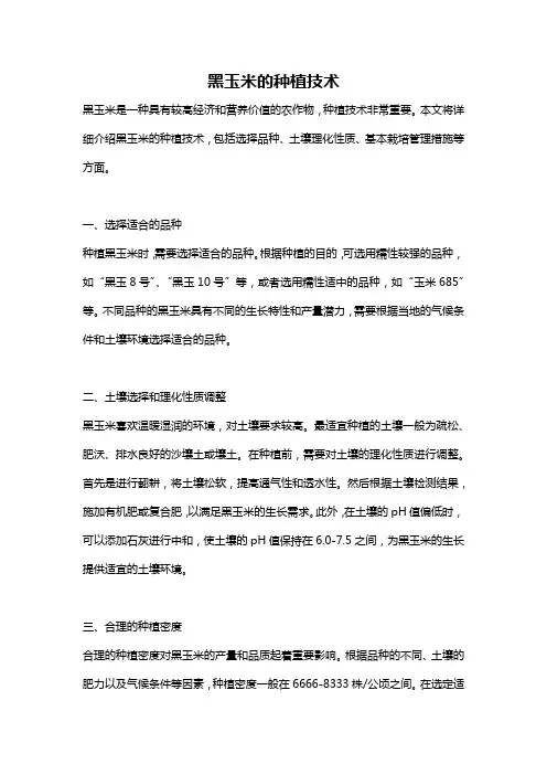 黑玉米的种植技术