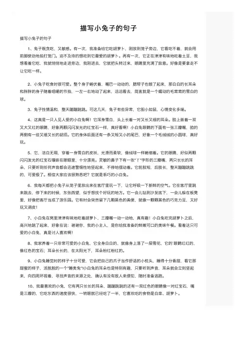 描写小兔子的句子