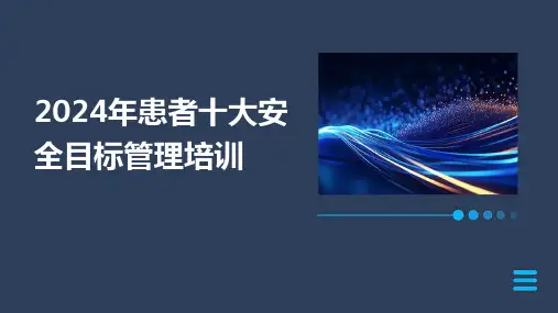 2024年患者十大安全目标管理培训