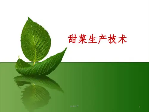 《甜菜生产技术》PPT课件