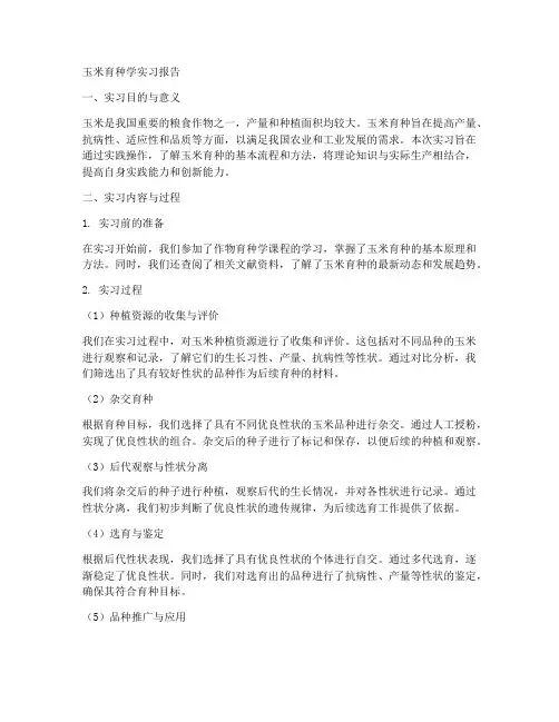 玉米育种学实习报告
