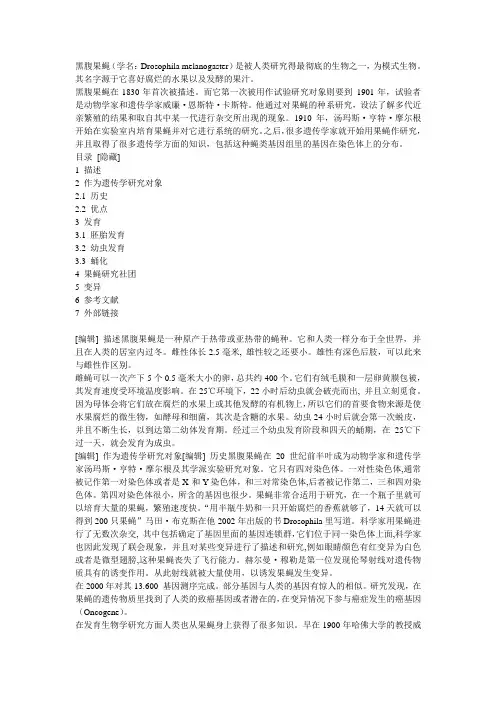 黑腹果蝇