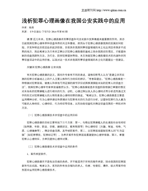 浅析犯罪心理画像在我国公安实践中的应用