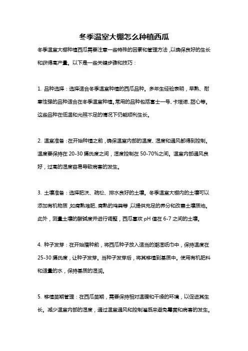冬季温室大棚怎么种植西瓜