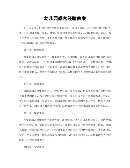 幼儿园感官经验教案