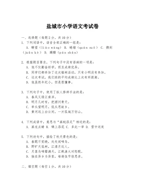 盐城市小学语文考试卷