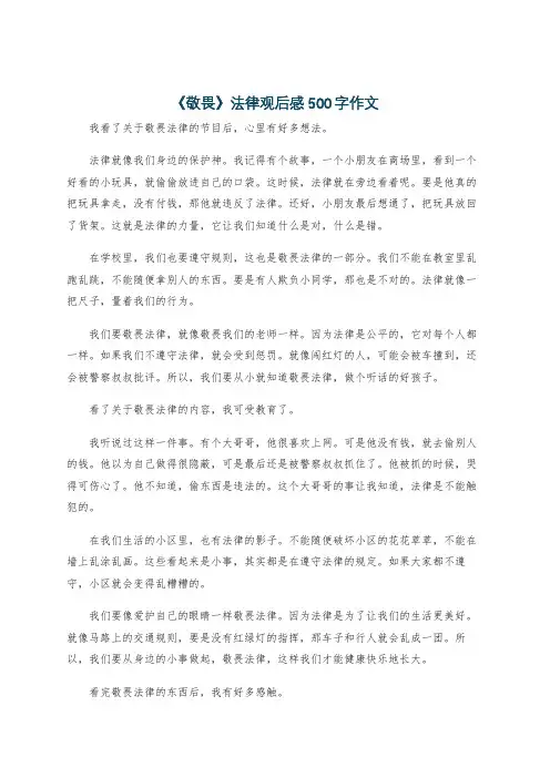 《敬畏》法律观后感500字作文