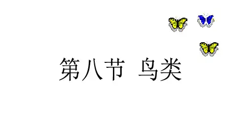 初中七年级上学期生物课件-4.8鸟类