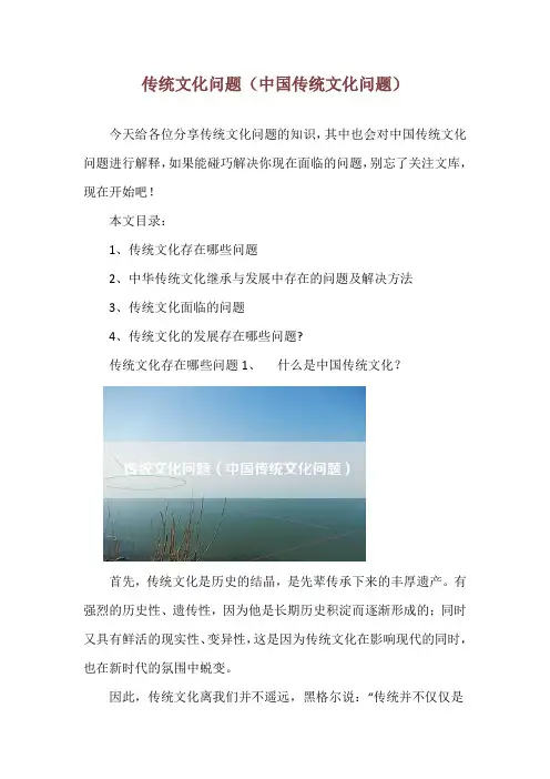 传统文化问题(中国传统文化问题)