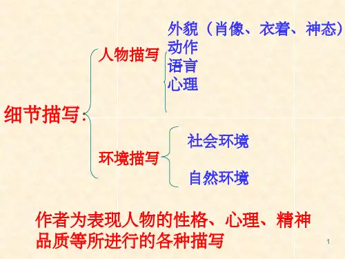 《细节描写作文》PPT课件