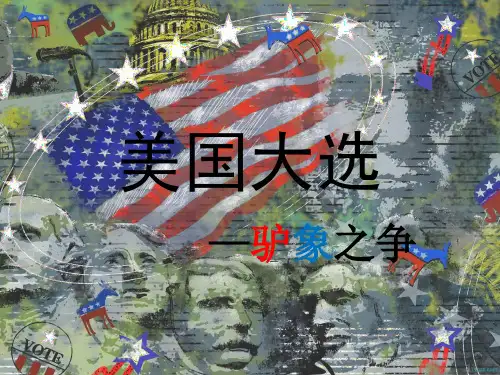 美国选举制度