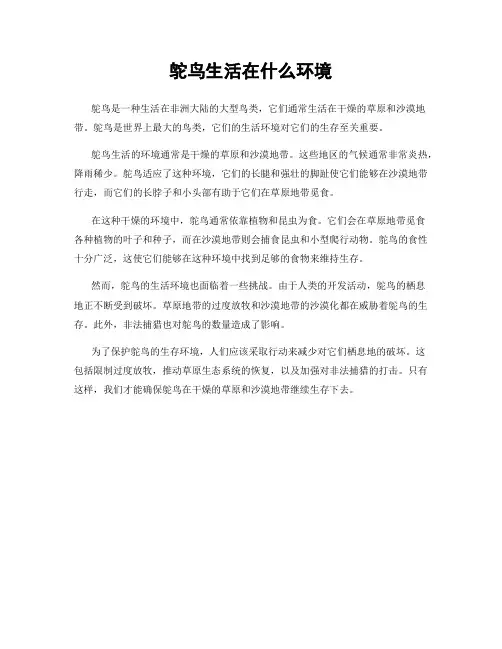 鸵鸟生活在什么环境