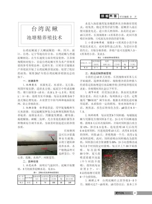 台湾泥鳅池塘精养殖技术