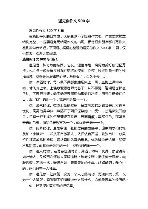 遇见你作文500字5篇