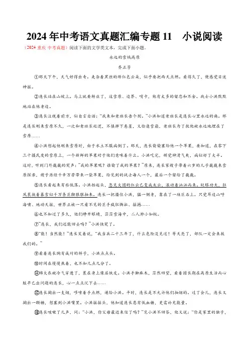 2024年中考语文真题汇编专题11  小说阅读(教师版)