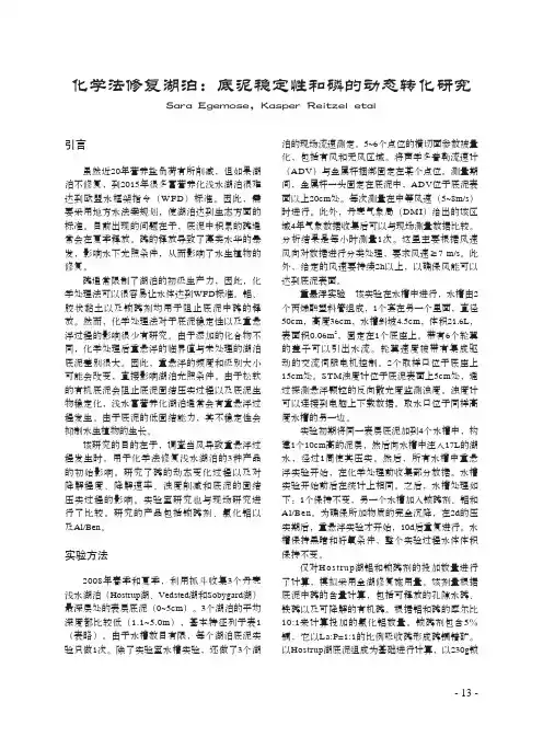 化学法修复湖泊底泥稳定性和磷的动态转化研究
