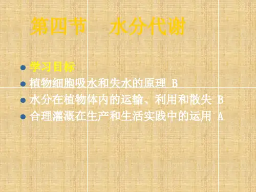 高中生物水分代谢(2)课件